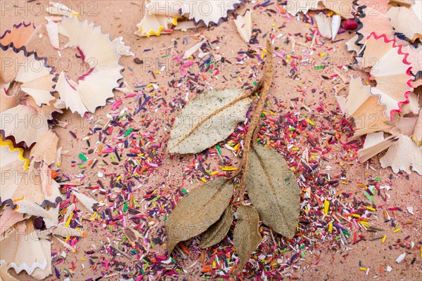 Dry leaves amid color pencil shaving