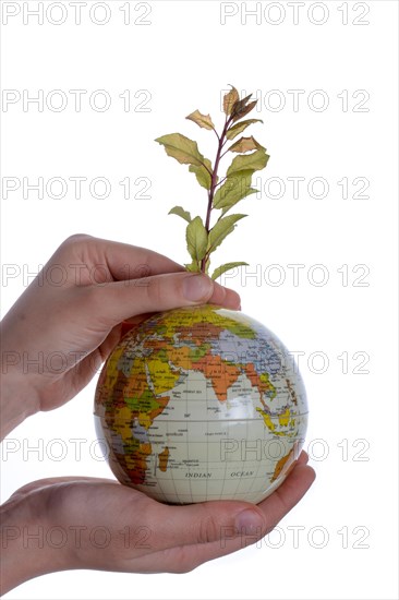 Hand holding a tree seedling on globe in hand on white background