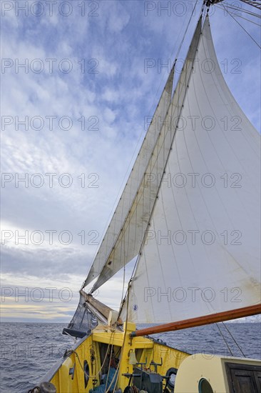 Two-master Noorderlicht underway in the Westfjord