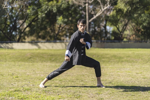 Young man practicing Kung Fu in the park