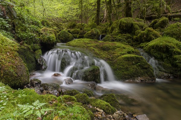 Waterfall in the UNESCO World Heritage Beech Forest in the Limestone Alps National Park