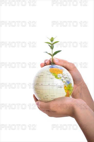 Hand holding a tree seedling on globe in hand on white background