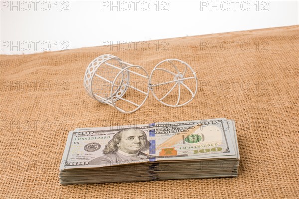 Birds cage placed beside the bundle of US dollar banknote