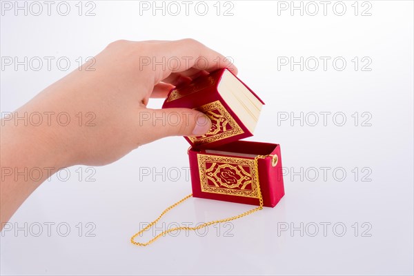 Hand holding The Holy Quran on a white background