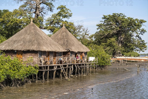 Huts on stilts at Bintang Bolong Lodge on a branch of the Gambia River