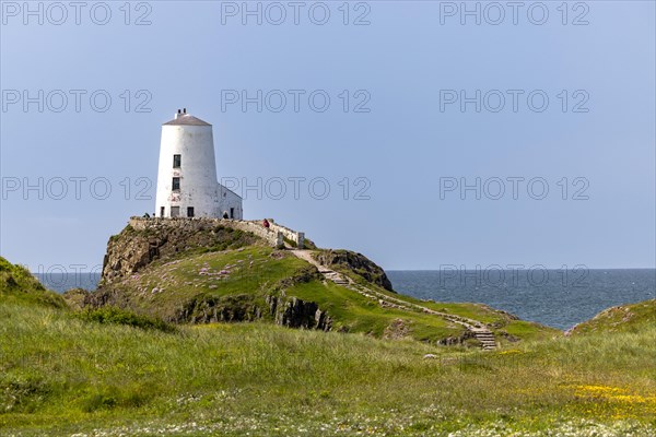 Goleudy TÅµr Mawr Lighthouse