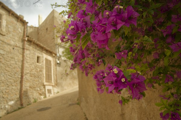 Cala Ratjada