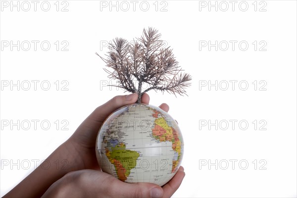 Hand holding a tree seedling on globe in hand on white background