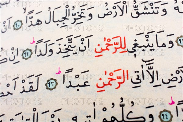 The Holy Quran on a white background