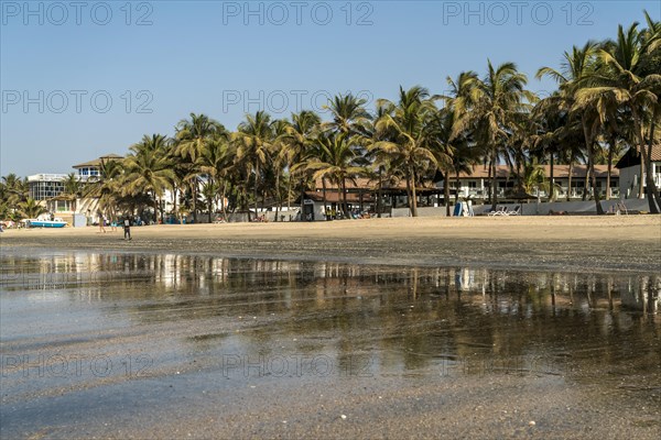 Palm trees on Kotu beach reflected in the shallow water at low tide