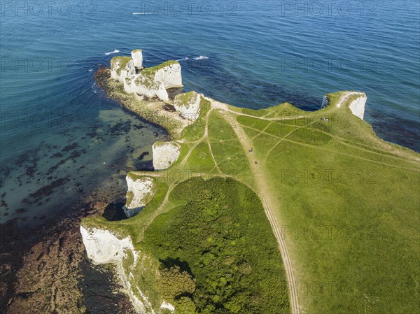 Aerial view of the chalk coast Old Harry Rocks