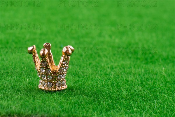 Little golden color model crown in grren grass