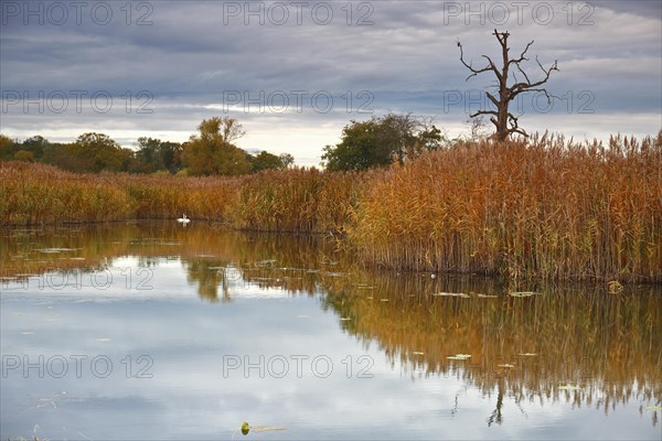 Autumn in the floodplain