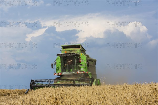 Grain harvest in the Schwaebische Alb