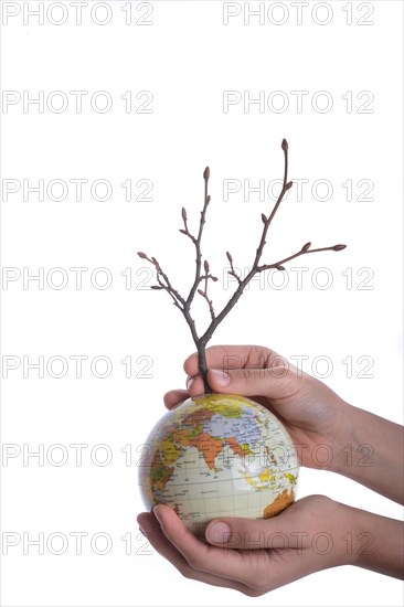 Hand holding a tree seedling on globe in hand on white background