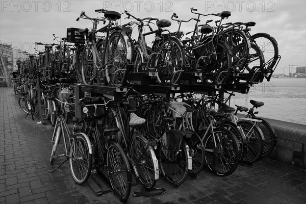 Bicycles at the harbour