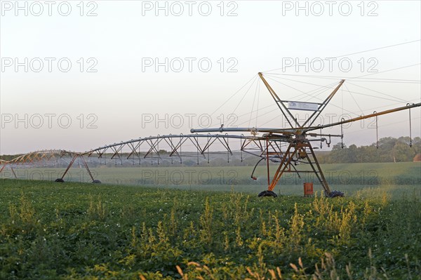 Field irrigation