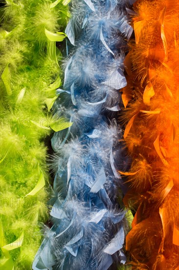 Beautiful bird feathers for decorative purposes