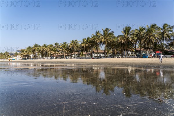 Palm trees on Kotu beach reflected in the shallow water at low tide