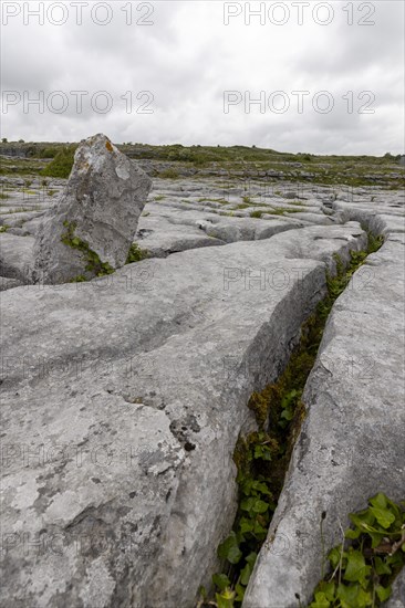 Barrows and gullies