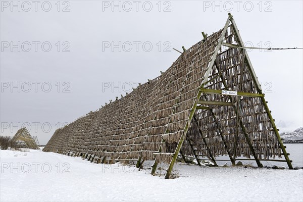 Drying racks for stockfish