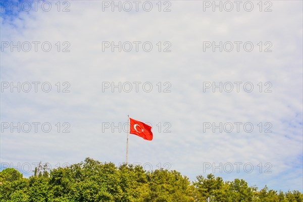 Turkish national flag hang on a pole among the trees