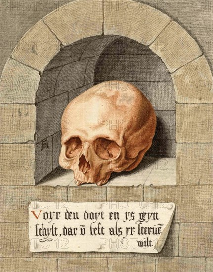 Skull in a Niche