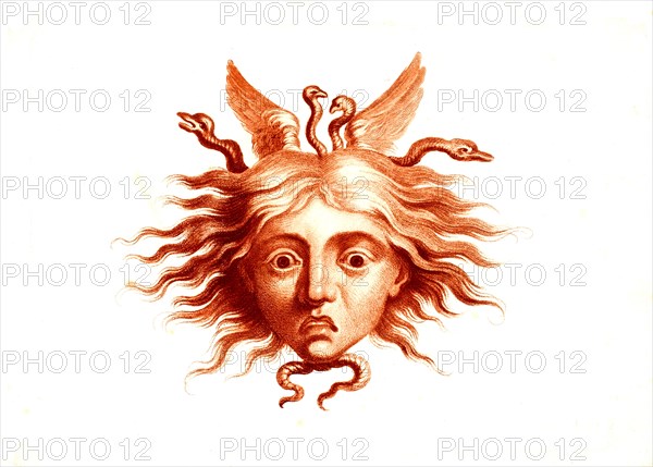 Head of Medusa