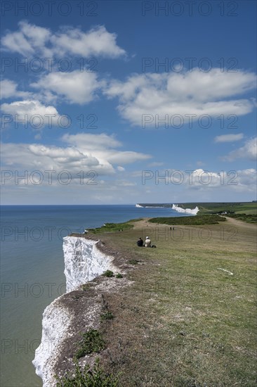 Chalk cliffs at Beachy Head