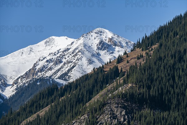 Lower Kolsai lake