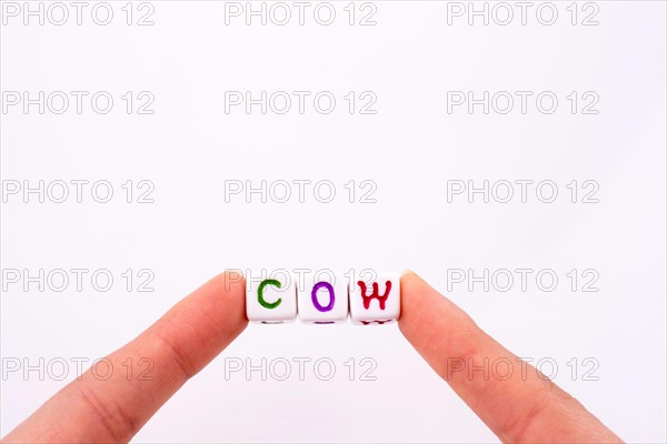 Fingers hold colorful cubic letters of alphabet form the word ''cow''