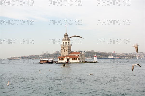 Maiden's Tower located in the Bosphorus surrounded by Seagulls