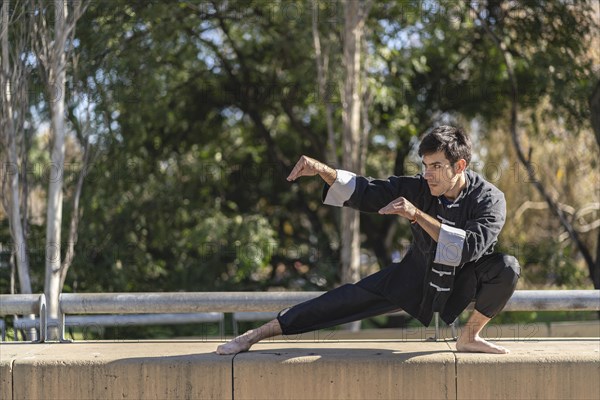 Young man practicing Kung Fu in the park