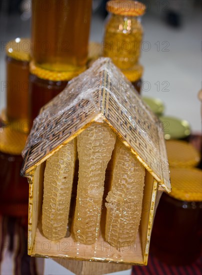 Sweet fresh honey in the sealed comb frame