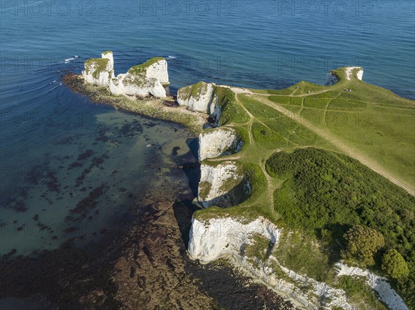 Aerial view of the chalk coast Old Harry Rocks