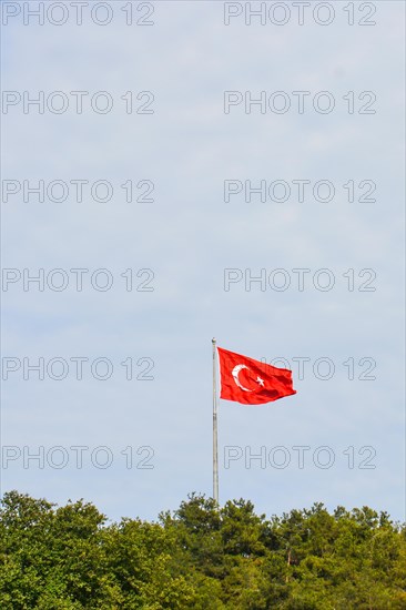 Turkish national flag hang on a pole among the trees