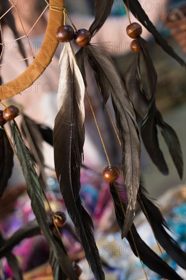 Beautiful bird feathers for decorative purposes