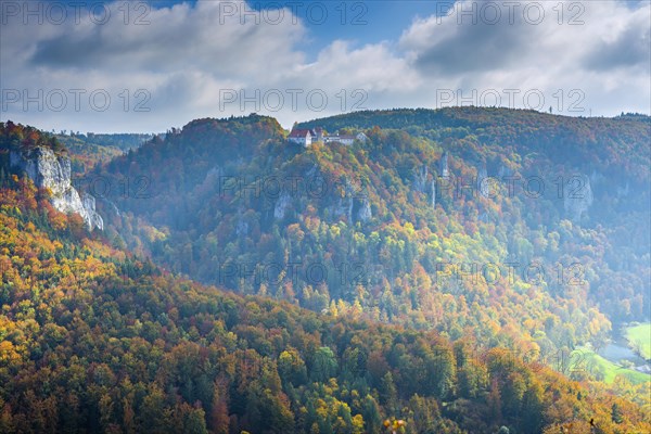 Wildenstein Castle