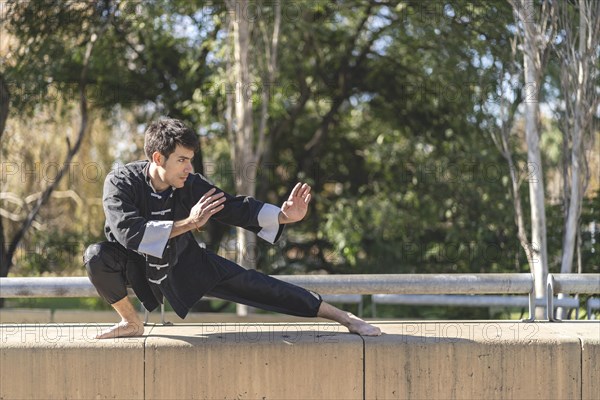 Young man practicing Kung Fu in the park