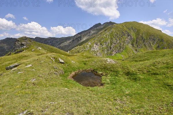 View of the Gollitschspitz