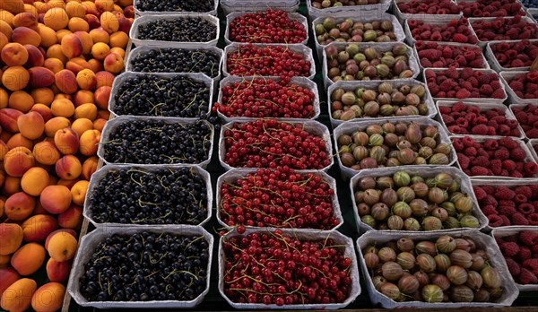 Fruit. fresh berries in bowls