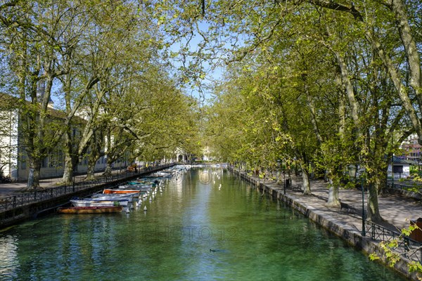 Canal du Vasse