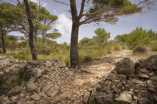 Cala Ratjada