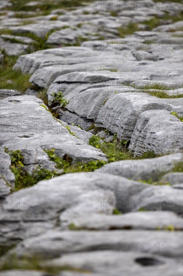 Barrows and gullies