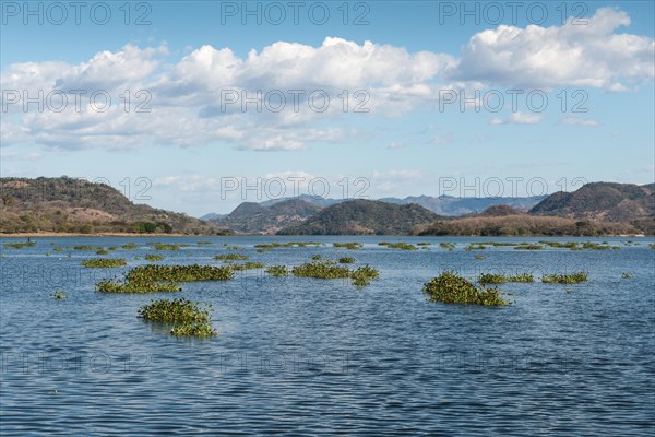 Lago Suchitlan