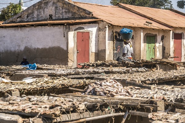 Wooden racks with fish to dry