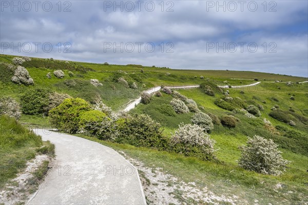 Footpath along the chalk cliffs of Dover