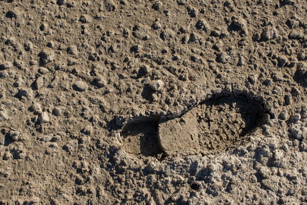 Footstep pattern seen on a concrete background