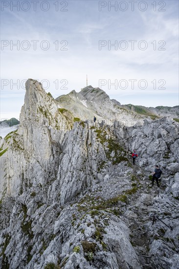 Mountaineer on the Lisengrat