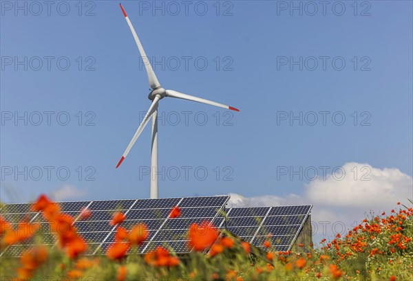 Renewable power generation